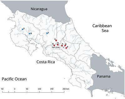 First Detection of the Crayfish Plague Pathogen Aphanomyces astaci in Costa Rica: European Mistakes Should Not Be Repeated